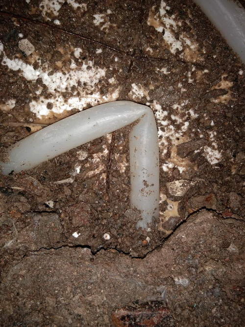 来凤堵点精准查找